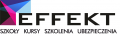 Firma szkoleniowa EFFEKT Sp. z o.o.