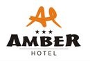 Obiekt szkoleniowy Hotel Amber***