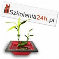 Artykuł Podsumowanie roku 2010 w serwisach www.szkolenia24h.pl i www.kursy24h.pl