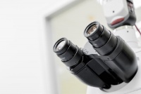 Artykuł Mikroskop sted - rewolucja wśród mikroskopii świetlnej